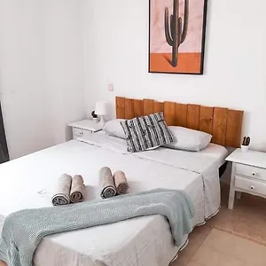 Tabaiba , Corralejo España